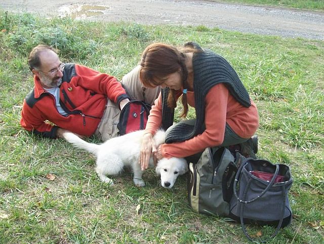 Szalonta mai2.jpg